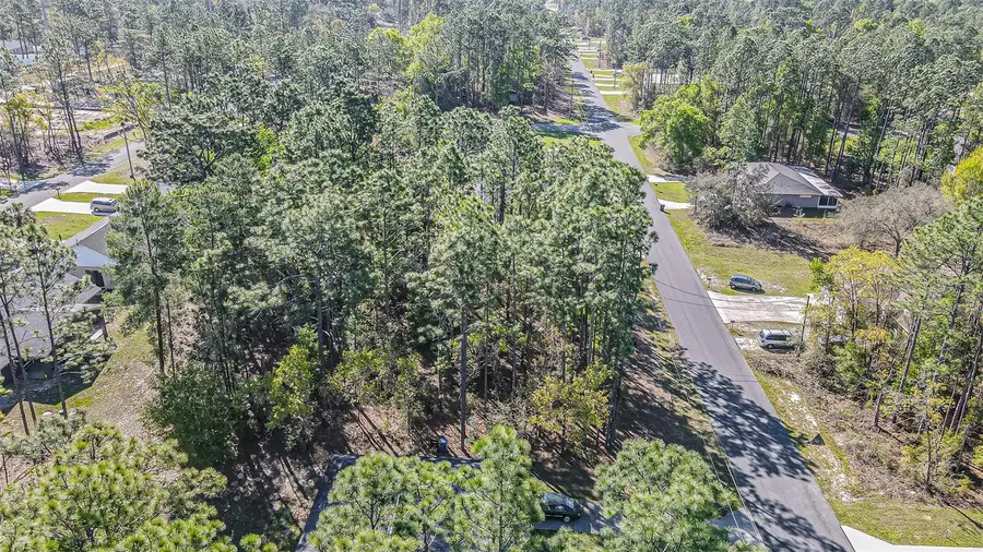 9411 N Mendoza Way, Citrus Springs, FL 34434 - #2