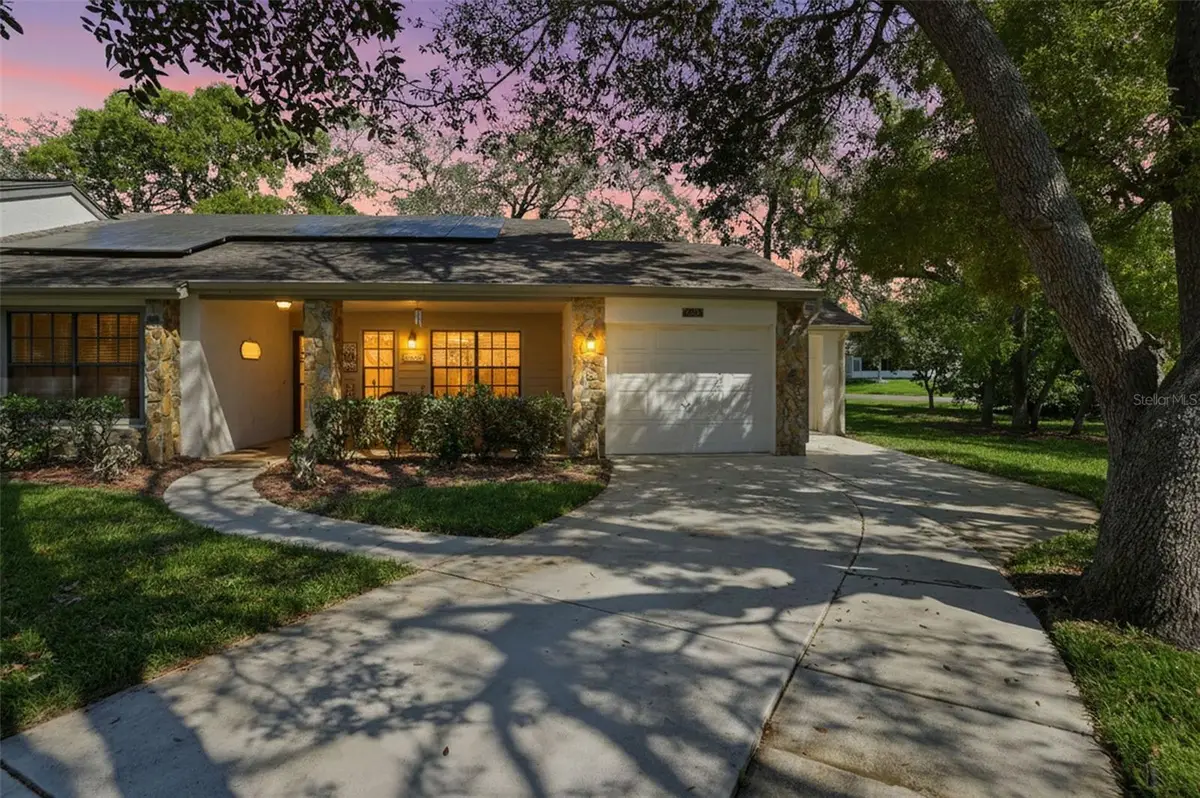 6630 Brambleleaf Drive, Spring Hill, FL 34606 - #1