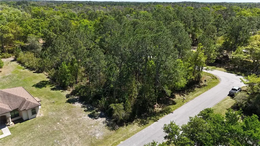 Pine Lands Dr, Wesley Chapel, FL 33544 - #2