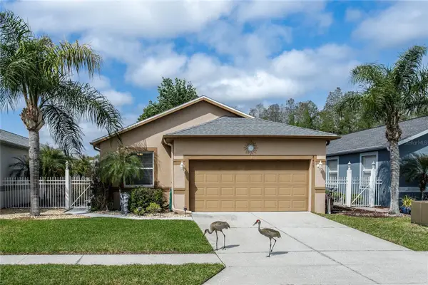 8415 Tarocco Court, LAND O LAKES, FL 34637