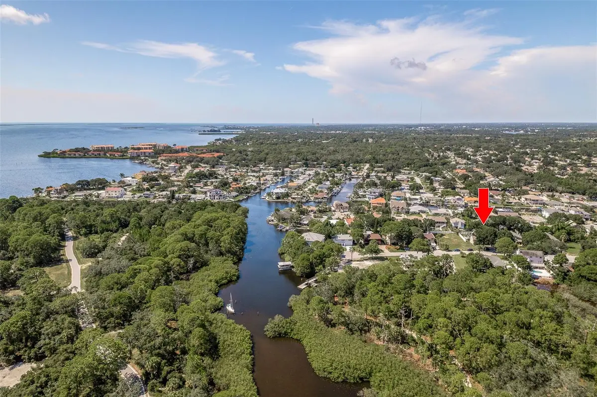 14 Baywood Drive, Palm Harbor, FL 34683 - #1