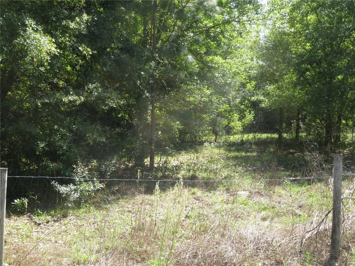 Address Withheld By Seller, San Antonio, FL 33576 - #1