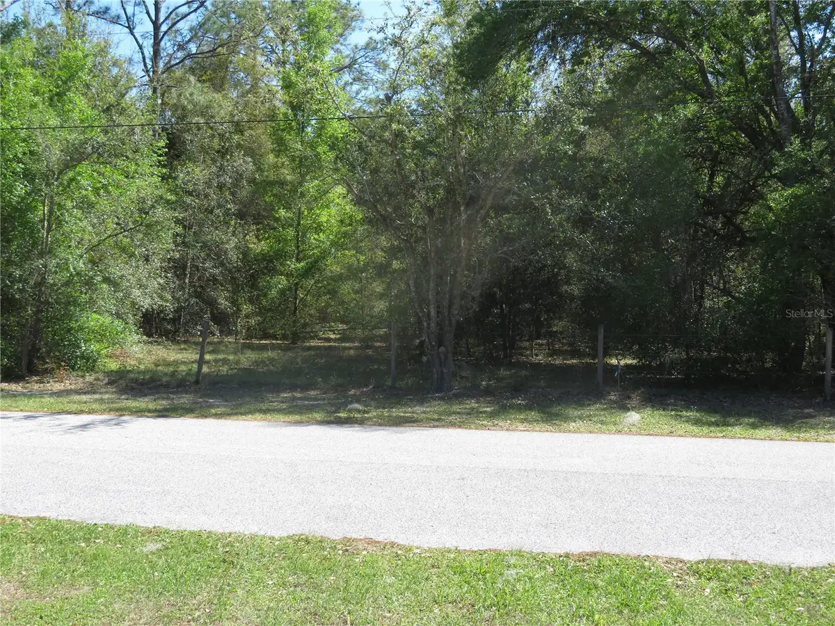 Address Withheld By Seller, San Antonio, FL 33576 - #1