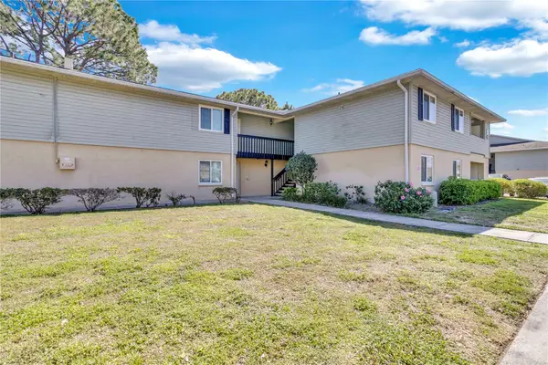 209 Red Cedar Place #209, BRANDON, FL 33510