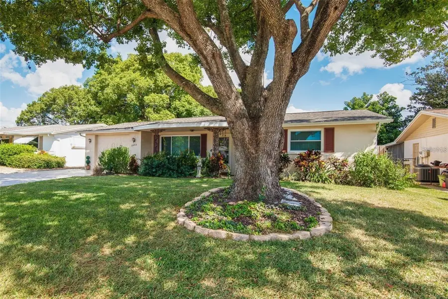 3802 Mynabird Drive, New Port Richey, FL 34652 - #2