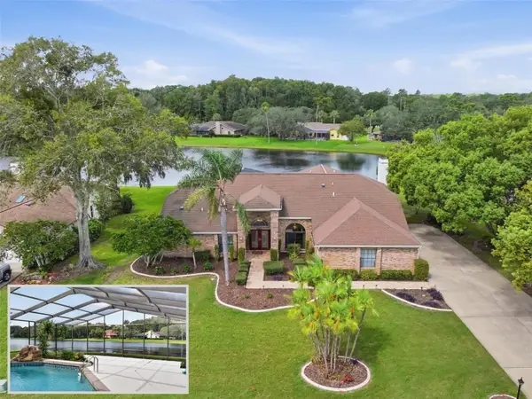 4311 River Birch Drive, SPRING HILL, FL 34607