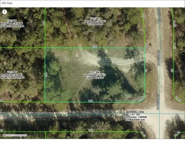 000 Sawbill Avenue, WEEKI WACHEE, FL 34614