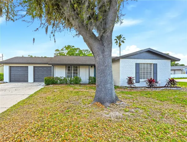 18320 Dolly Brook Lane, LUTZ, FL 33549