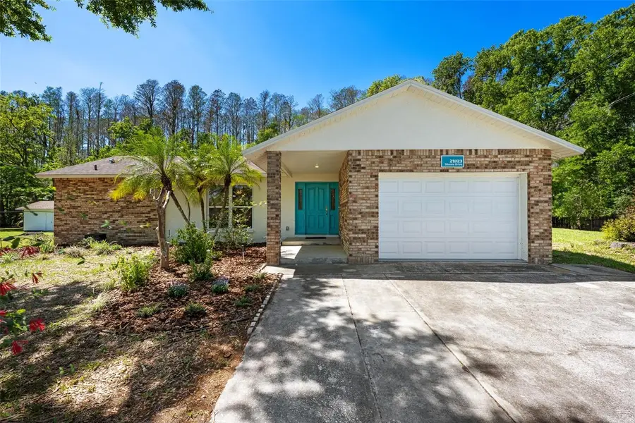 21823 Shamu Drive, Land O Lakes, FL 34639 - #2