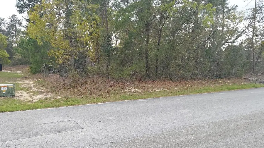 3 Tall Marigolds Ct,, Homosassa, FL 34446 - #2