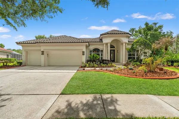 17905 Arbor Greene Drive, TAMPA, FL 33647