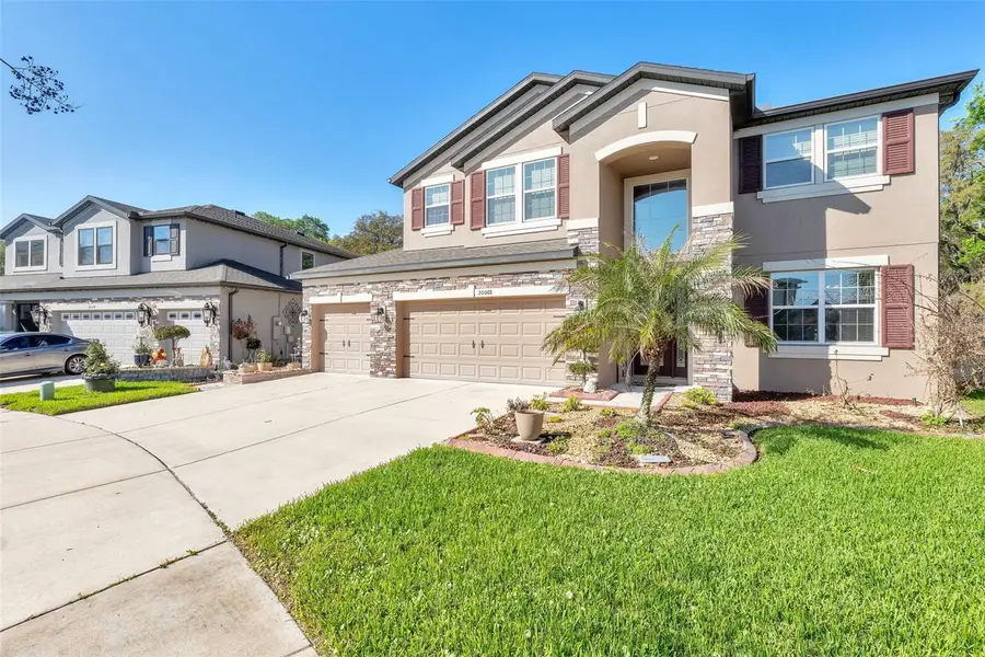 30068 Skylark Drive, Wesley Chapel, FL 33545 - #3