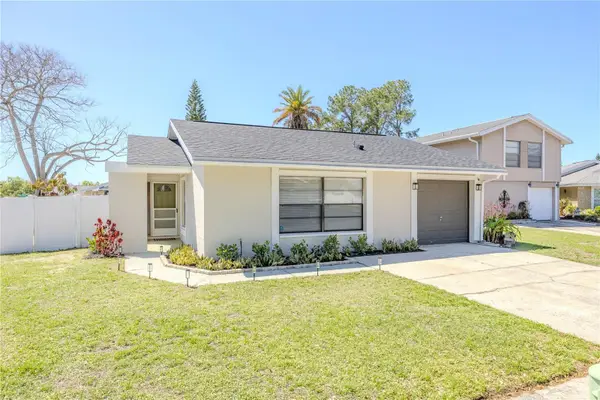 10002 Oakengate Place, TAMPA, FL 33624