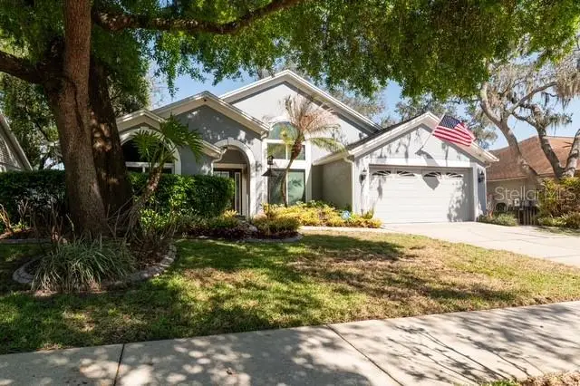 4605 Oak River, Valrico, FL 33596 - #2