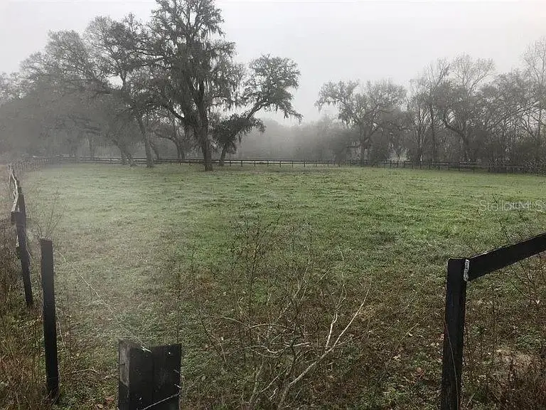 000 Palomino Lakes Dr, Dade City, FL 33523 - #2