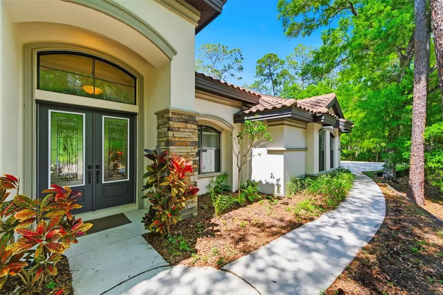 4120 Ridgemoor Drive, Palm Harbor, FL 34685 - #2