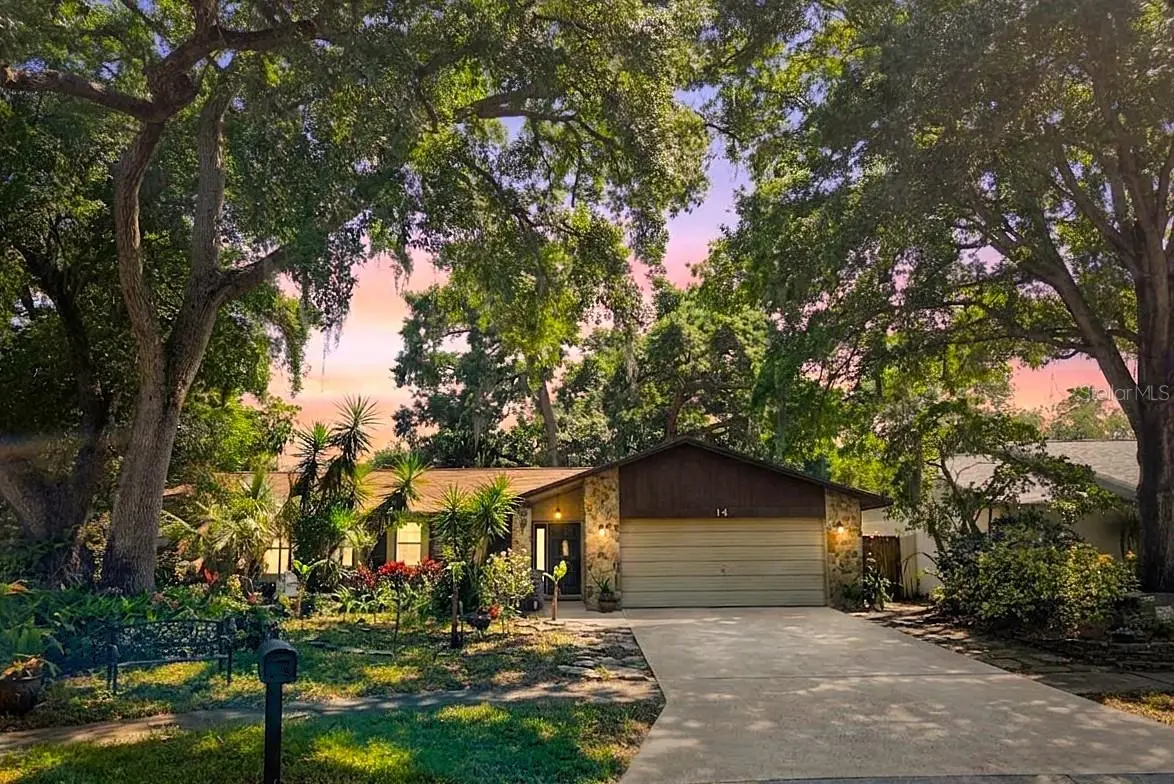 14 Harbor Point Place, Safety Harbor, FL 34695 - #1