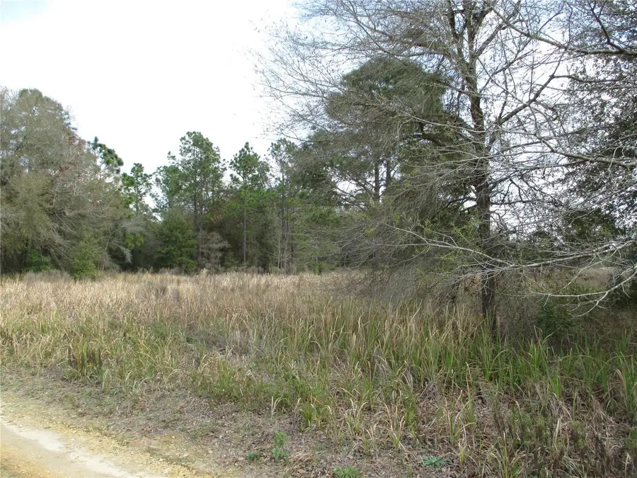 0 SW 24th Place, Ocala, FL 34481 - #3