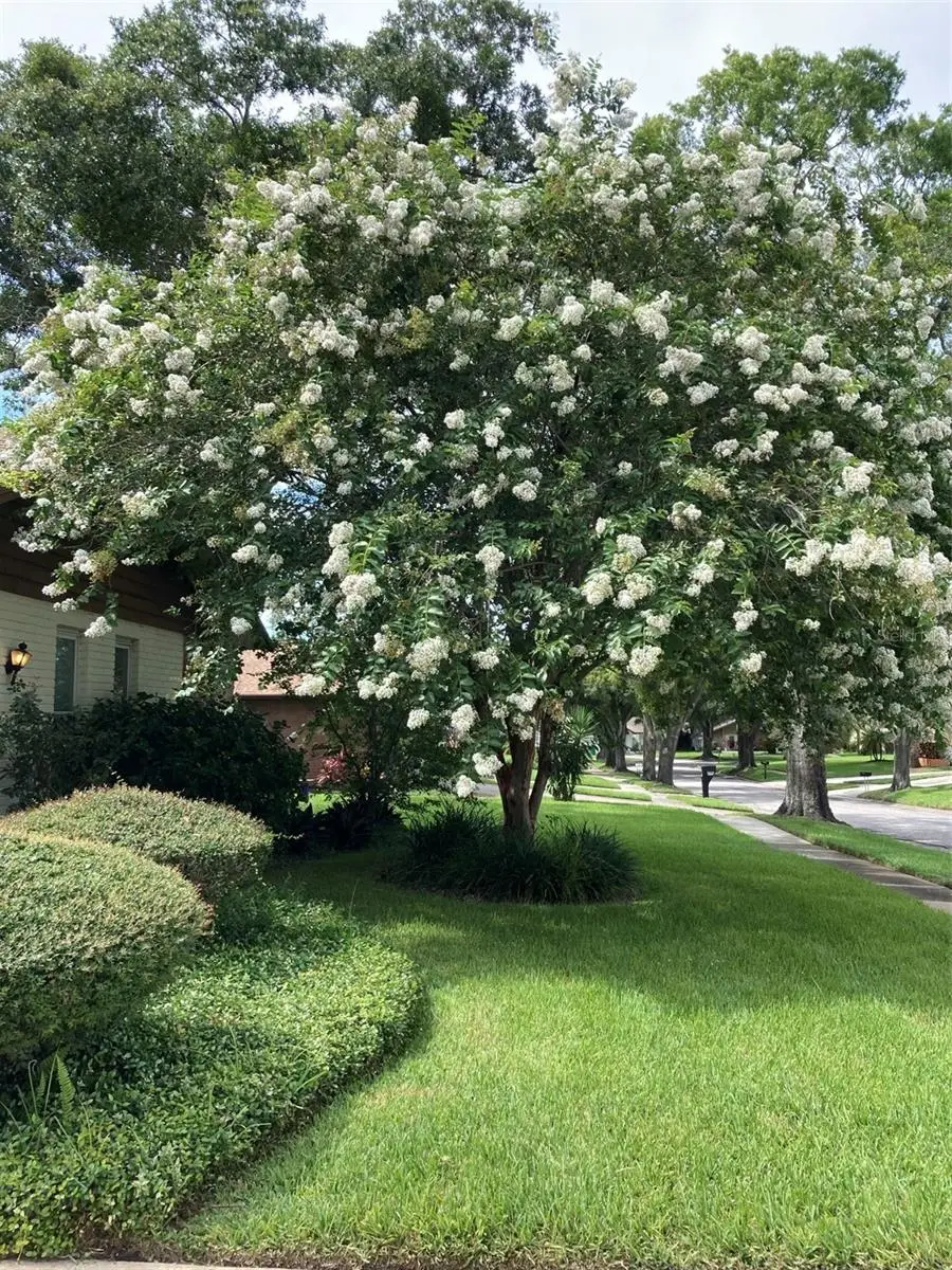 2938 Macalpin Drive W, Palm Harbor, FL 34684 - #3