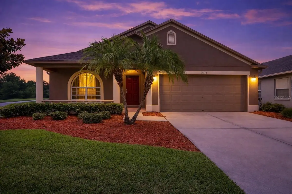 30142 Sotogrande Loop, Wesley Chapel, FL 33543 - #1
