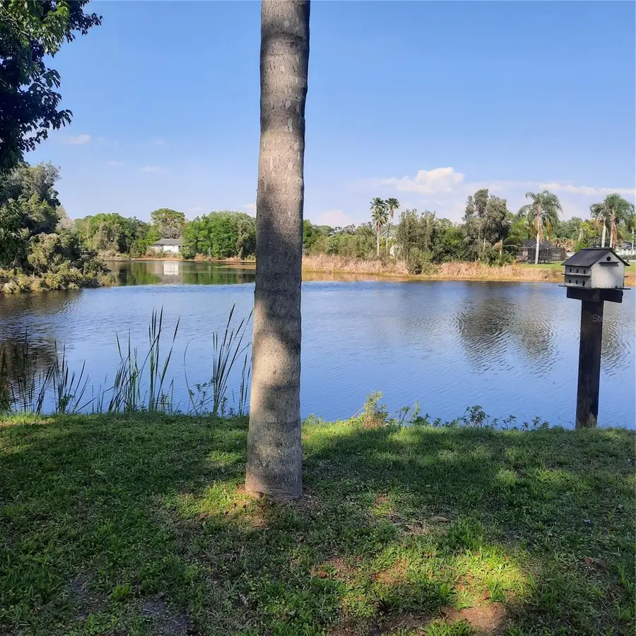 10502 Hinds Place, Odessa, FL 33556 - #2