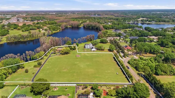 820 Newberger Road, LUTZ, FL 33549