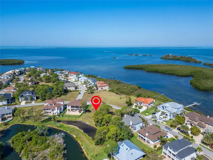 N Pointe Alexis Drive, Tarpon Springs, FL 34689 - #3