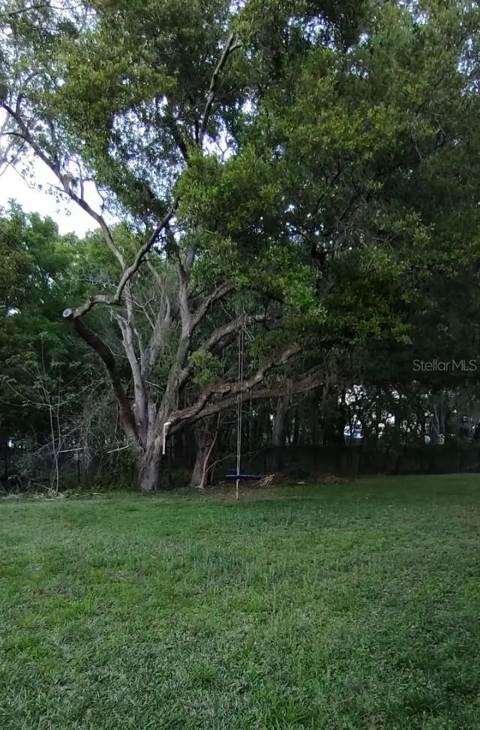 Address Withheld By Seller, Valrico, FL 33594 - #2