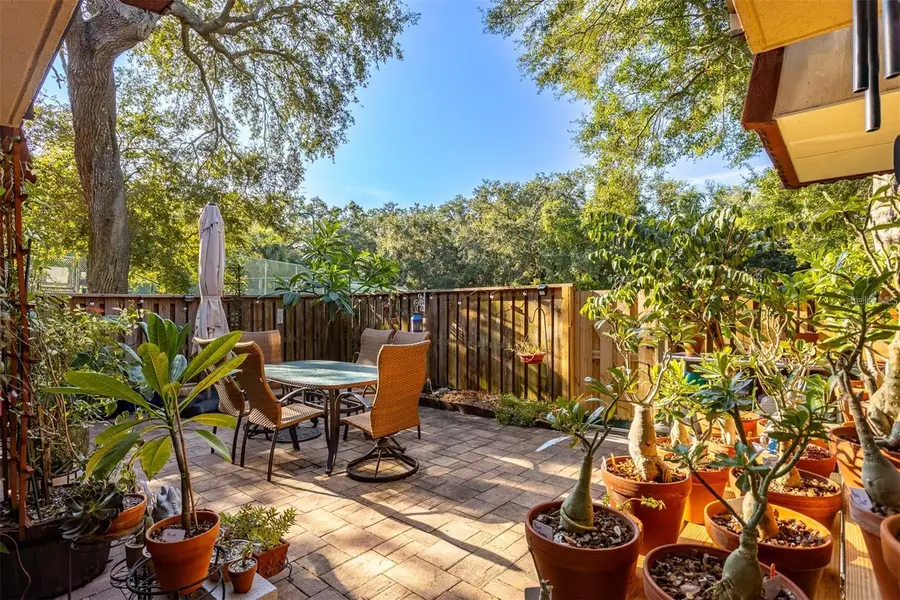 2636 2nd Court, Palm Harbor, FL 34684 - #3