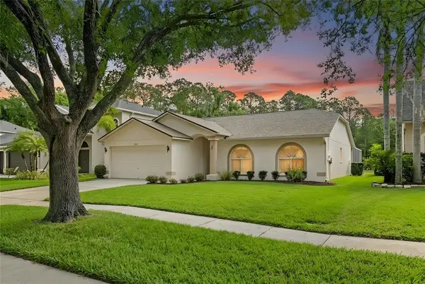13010 Royal George Avenue, ODESSA, FL 33556