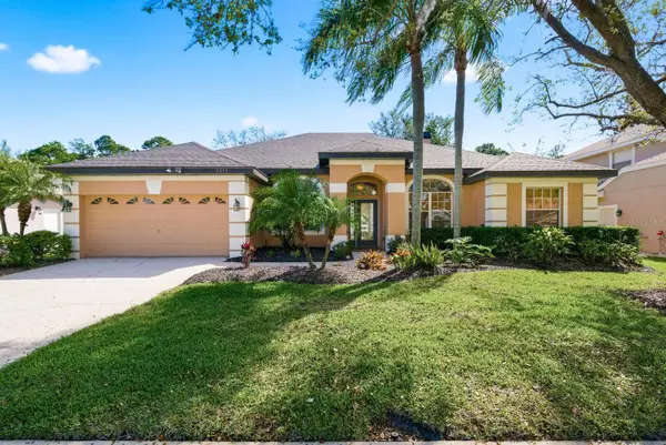 5035 Kernwood Court, PALM HARBOR, FL 34685