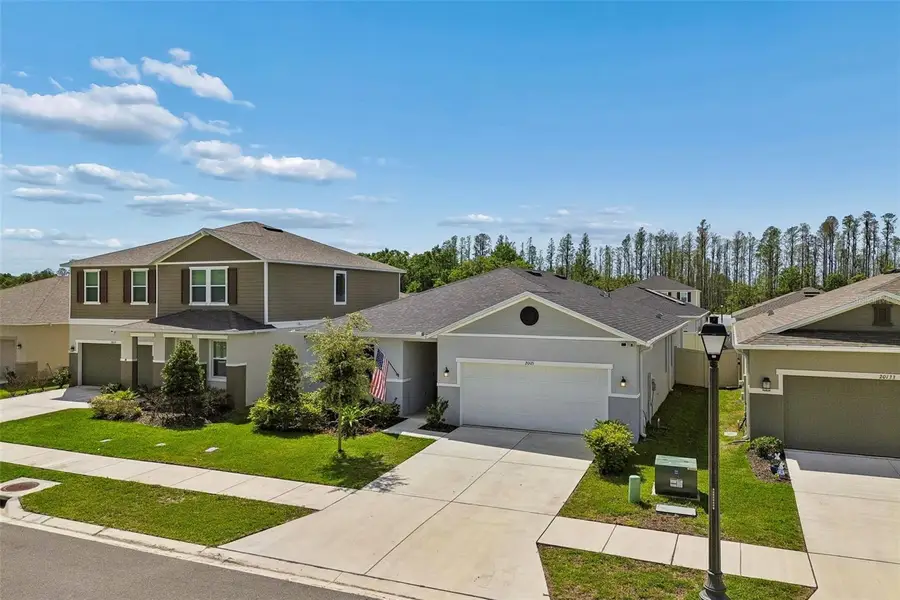 20121 Azul Marble Loop, Land O Lakes, FL 34638 - #3