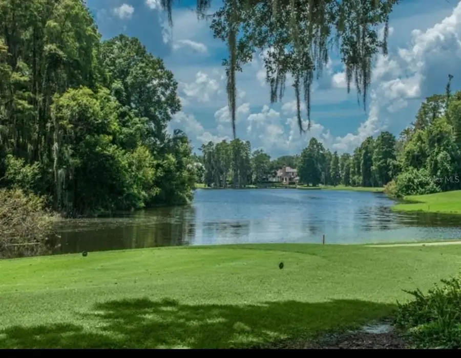 16912 Villalagos De Avila, Lutz, FL 33548 - #2