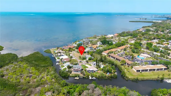 1126 S Florida Avenue, TARPON SPRINGS, FL 34689