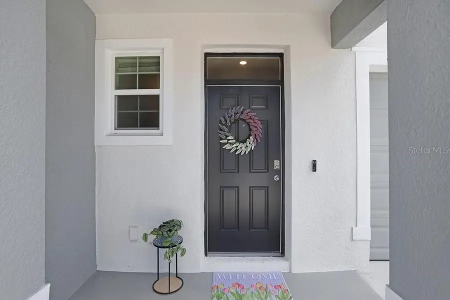 32978 Tulip Petal Lane, Wesley Chapel, FL 33545 - #2