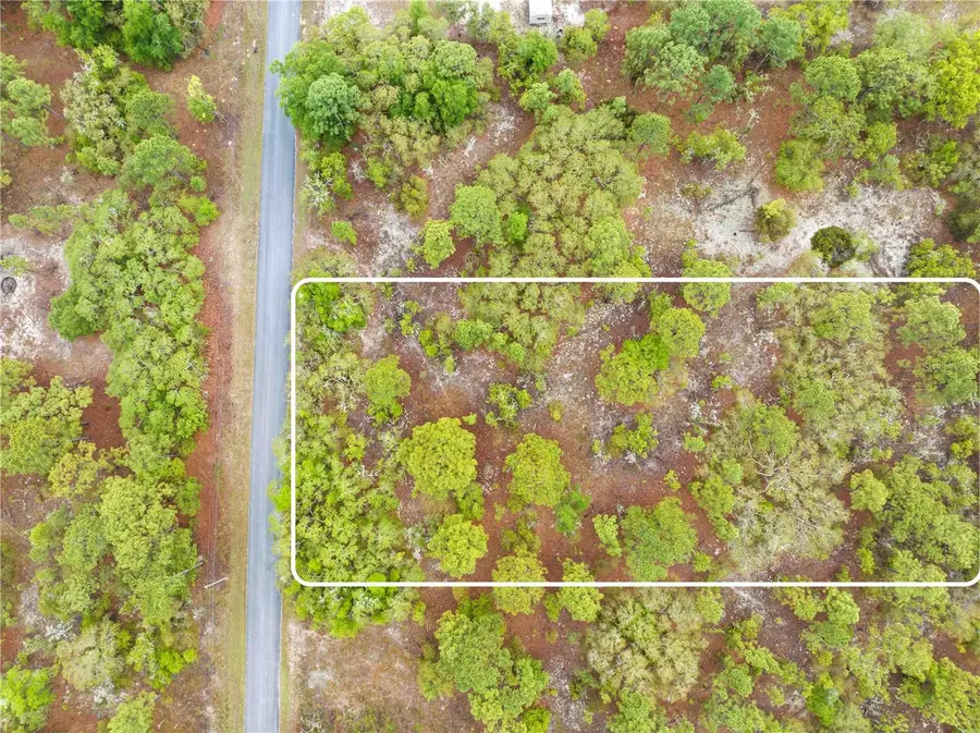 SW 206th Avenue, Dunnellon, FL 34431 - #2