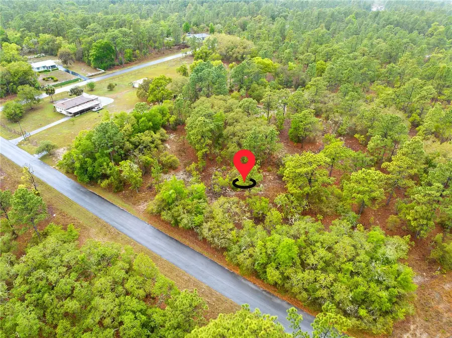 SW 206th Avenue, Dunnellon, FL 34431 - #3