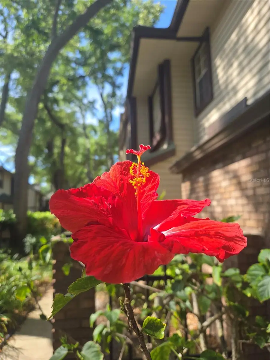 1491 Mahogany Lane #1491, Palm Harbor, FL 34683 - #3