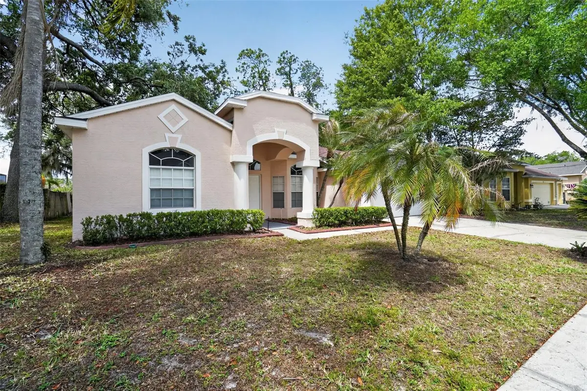 3725 Hollow Wood Drive, Valrico, FL 33596 - #1