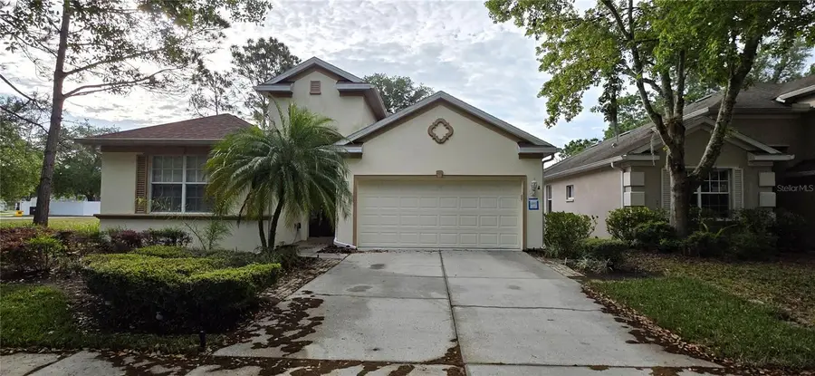 10906 Tree Cactus Loop, Land O Lakes, FL 34638 - #3