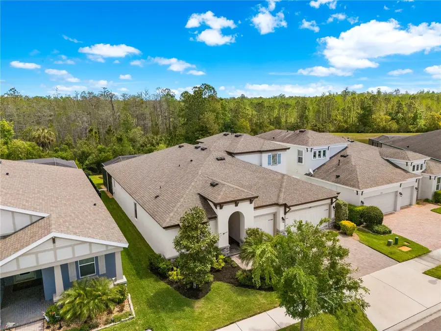 4374 Tuner Bend, Land O Lakes, FL 34638 - #3