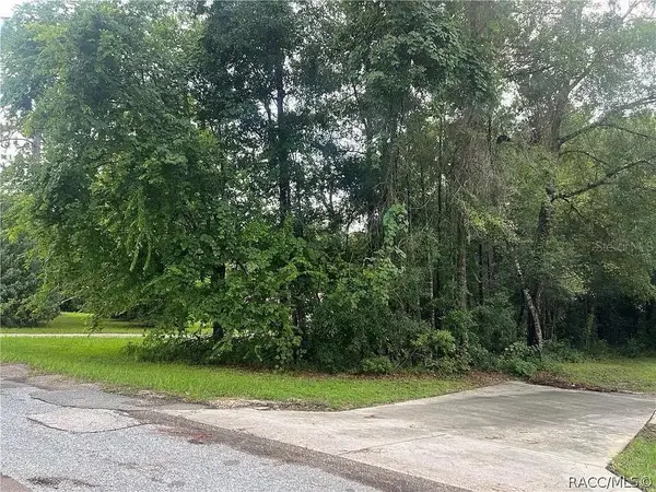 178 S School Avenue, LECANTO, FL 34461