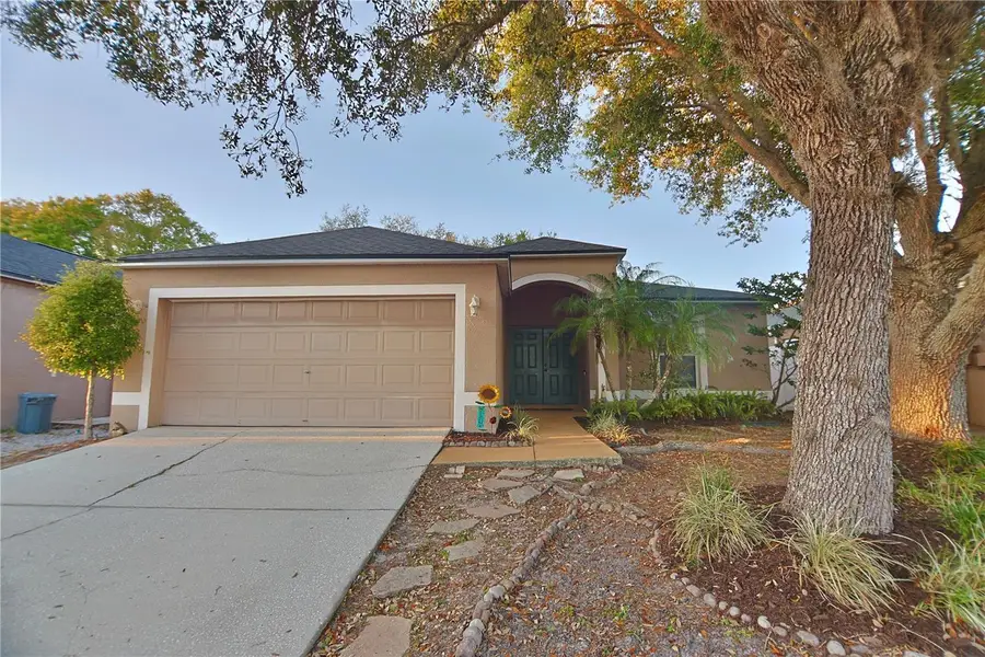 24809 Ravello Street, Land O Lakes, FL 34639 - #2