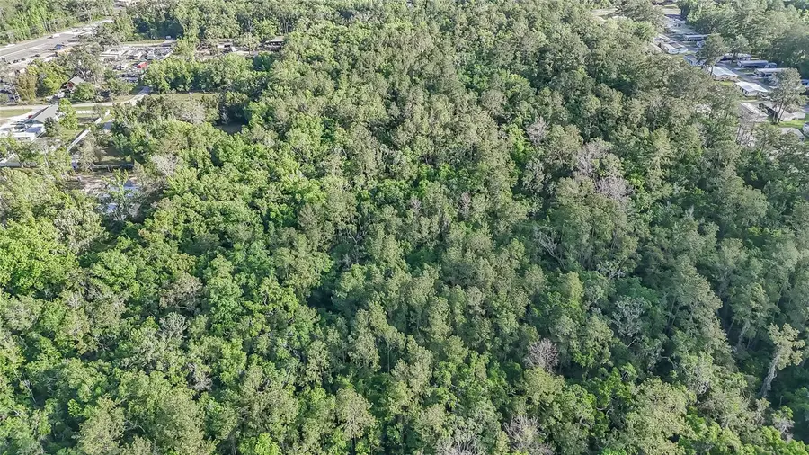 Vfw Road, Brooksville, FL 34601 - #3