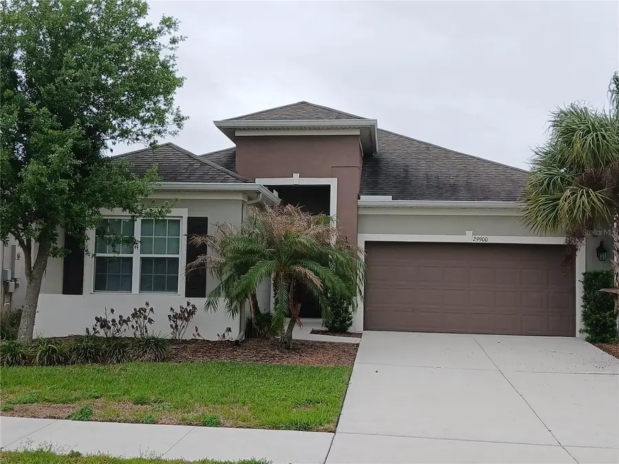 29900 Walsh Oak Drive, Wesley Chapel, FL 33545 - #3