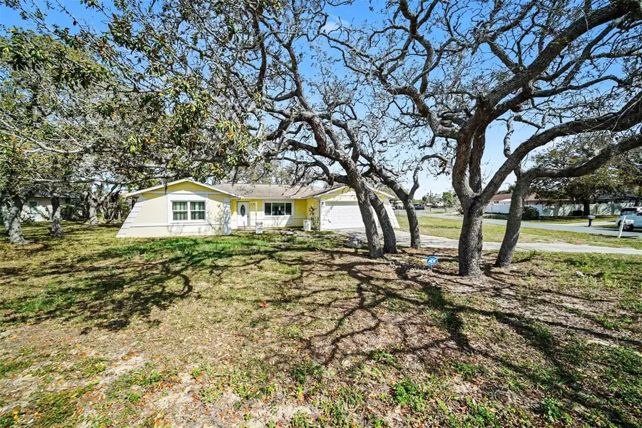 113 Ruskin Avenue, Spring Hill, FL 34606 - #3