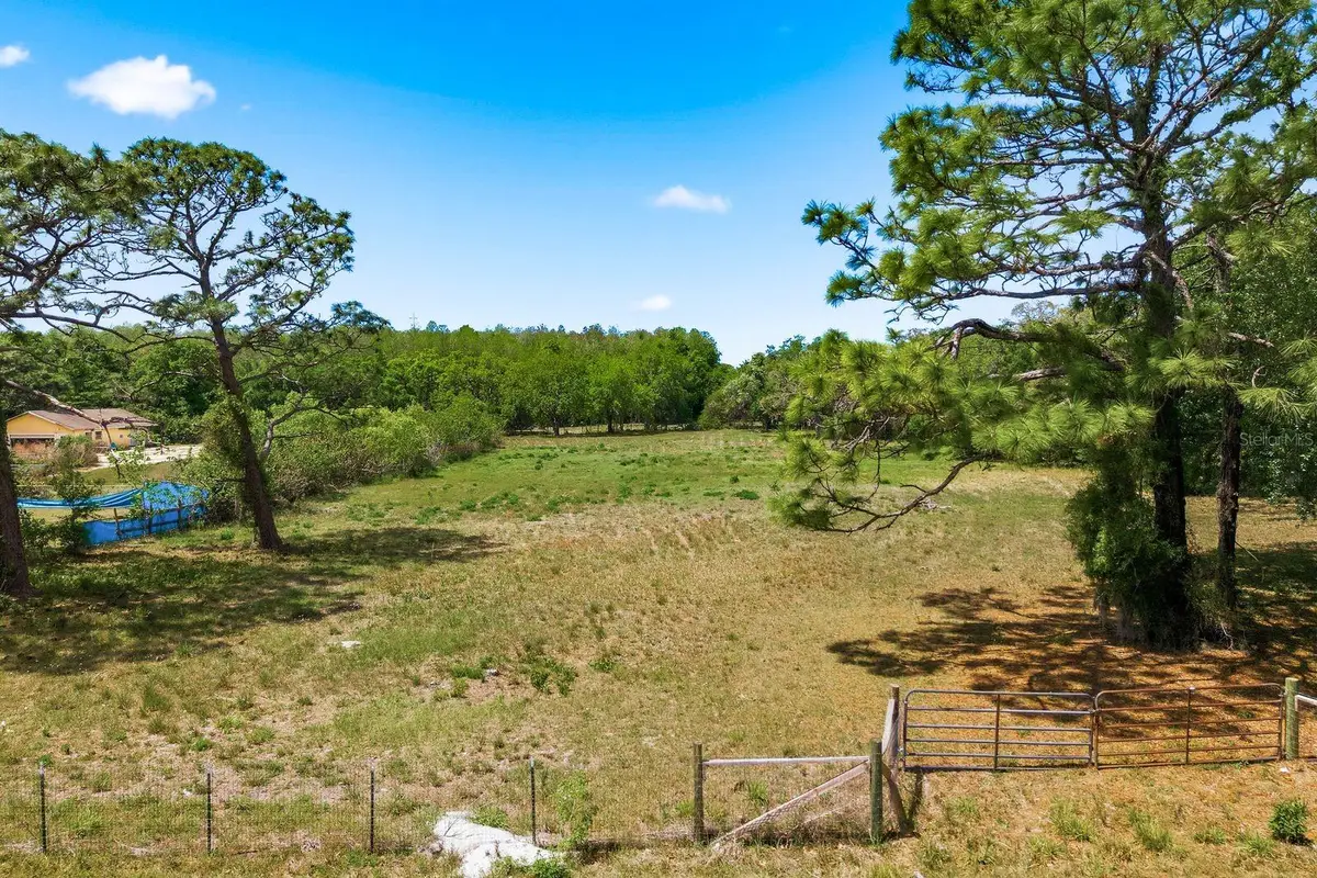 10675 Hilltop Drive, New Port Richey, FL 34654 - #1