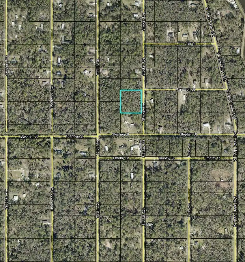 10155 Stycket Avenue, Hastings, FL 32145 - #3