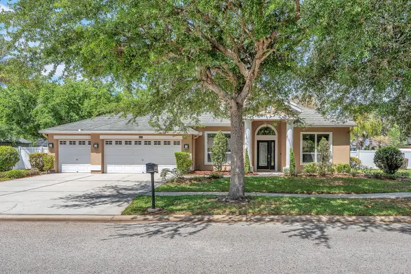 5613 Lark Meadow Place, LITHIA, FL 33547