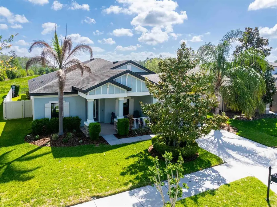 8306 Bluevine Sky Drive, Land O Lakes, FL 34637 - #2